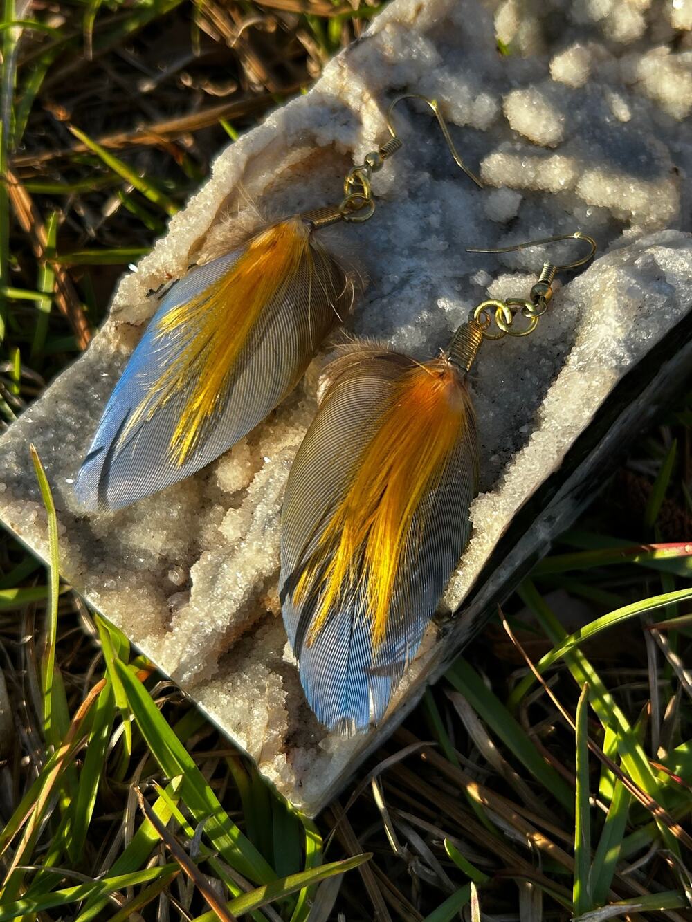 Handmade Blue and Yellow Macaw Feather Earrings